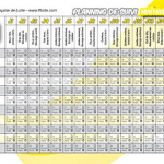 planningjaune320px1426444467