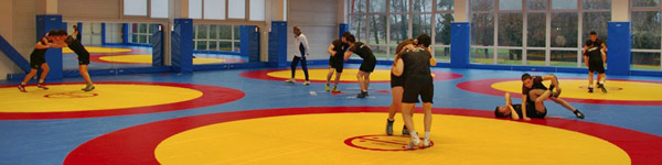 formation bpjepts lutte dijon