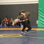 IMG_8585
