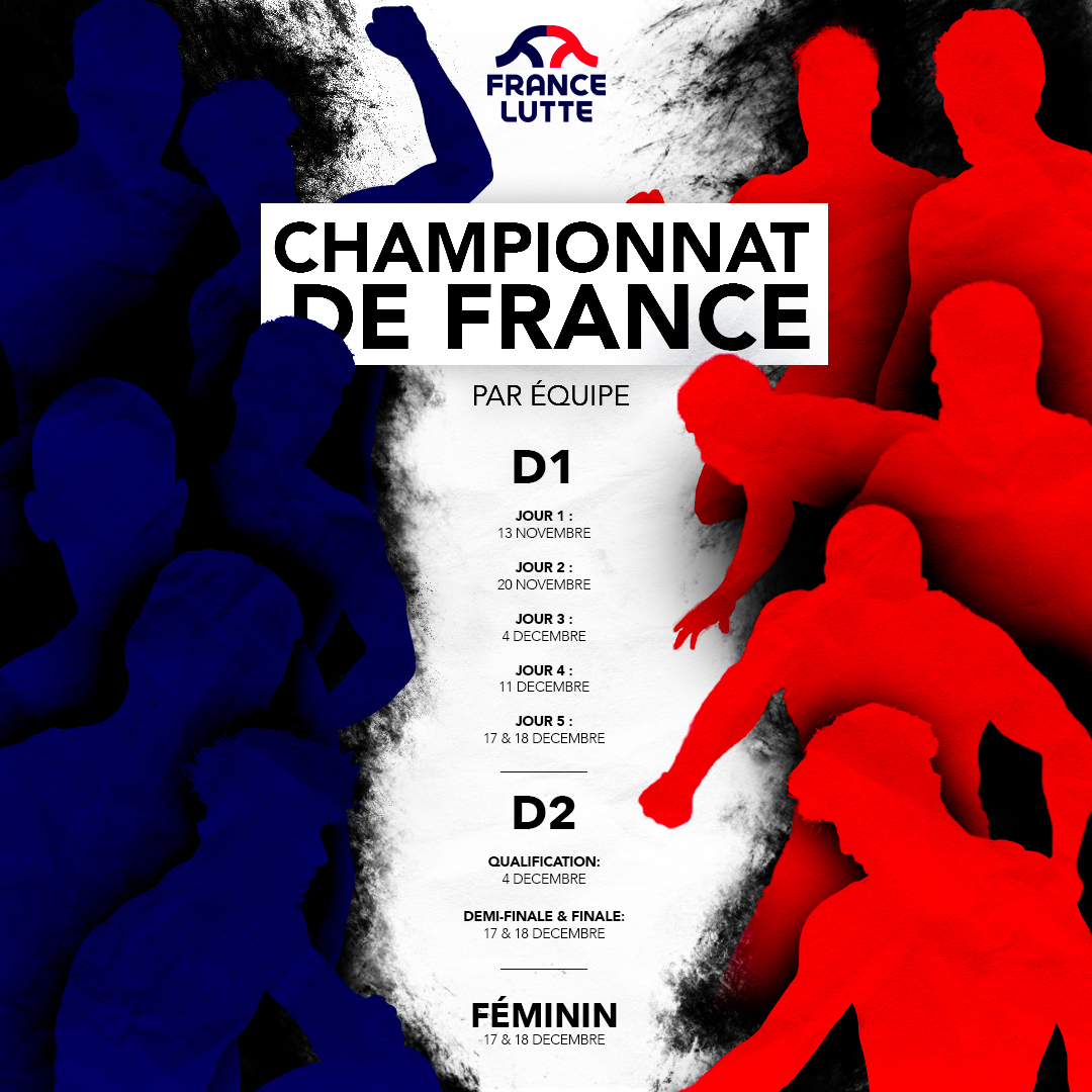 Championnats de France par équipe D2