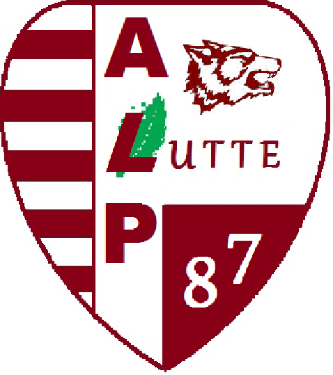 Logo club AMICALE LAIQUE DU PALAIS SUR VIENNE