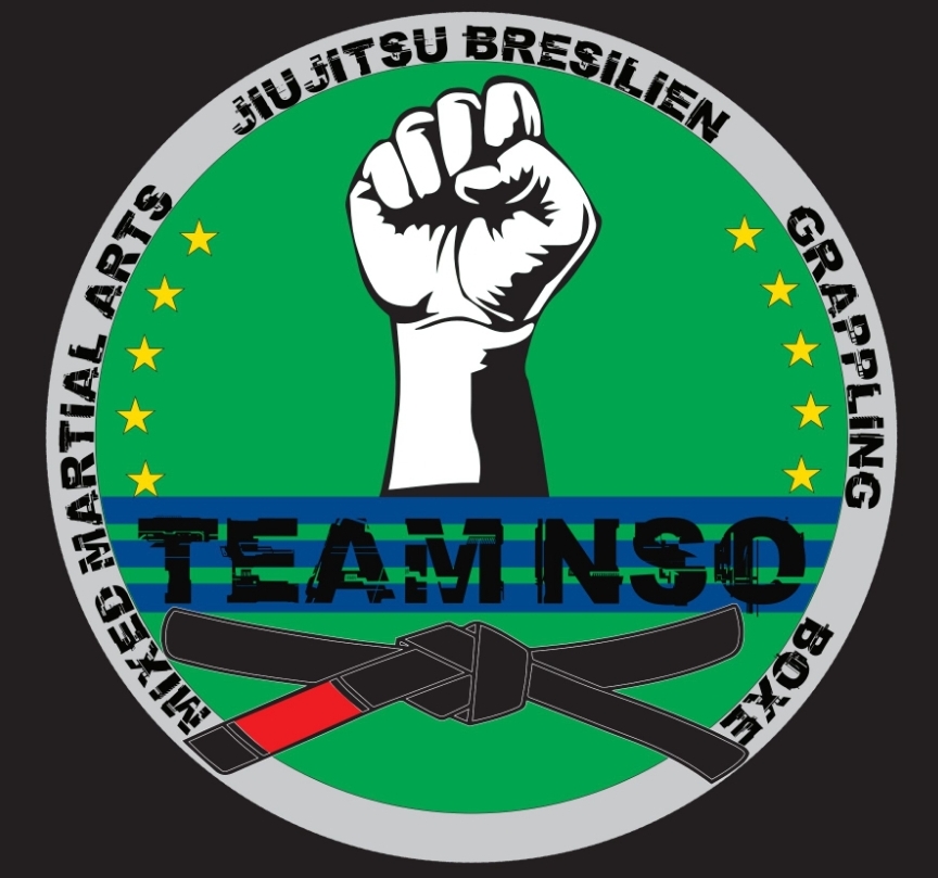 Logo club ASSOCIATION TEAM-N.S.O