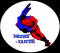 Logo club MITRY-LUTTE