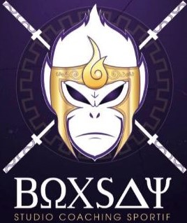 Logo club TEAM BOXSAY